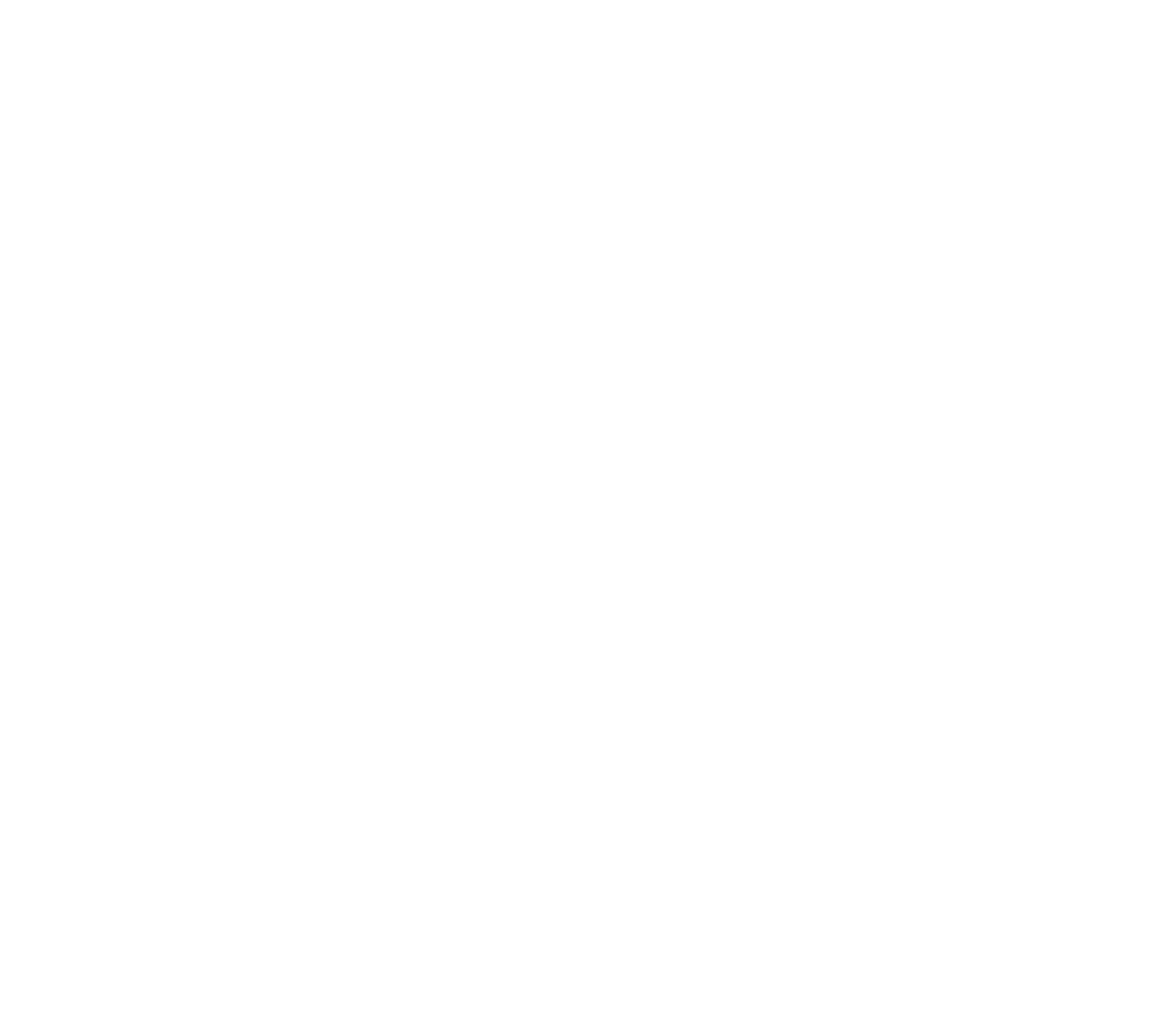 La Tormenta Sonora logo